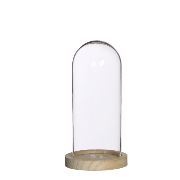 EMH Handgemaakte Clear Circulaire Grote Glas Display Cloche Bell Jar Koepel met Houten Basis 11,5 inch EMH Handgemaakte Clear Circulaire Grote Glas Display Cloche Bell Jar Koepel met Houten Basis 11,5 inch
