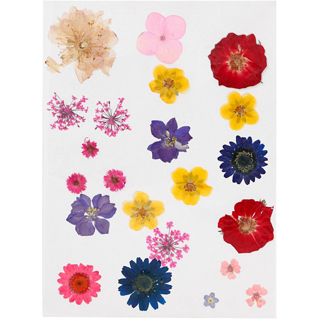 Pressed Flowers and Leaves, assorted colours, 1 pack