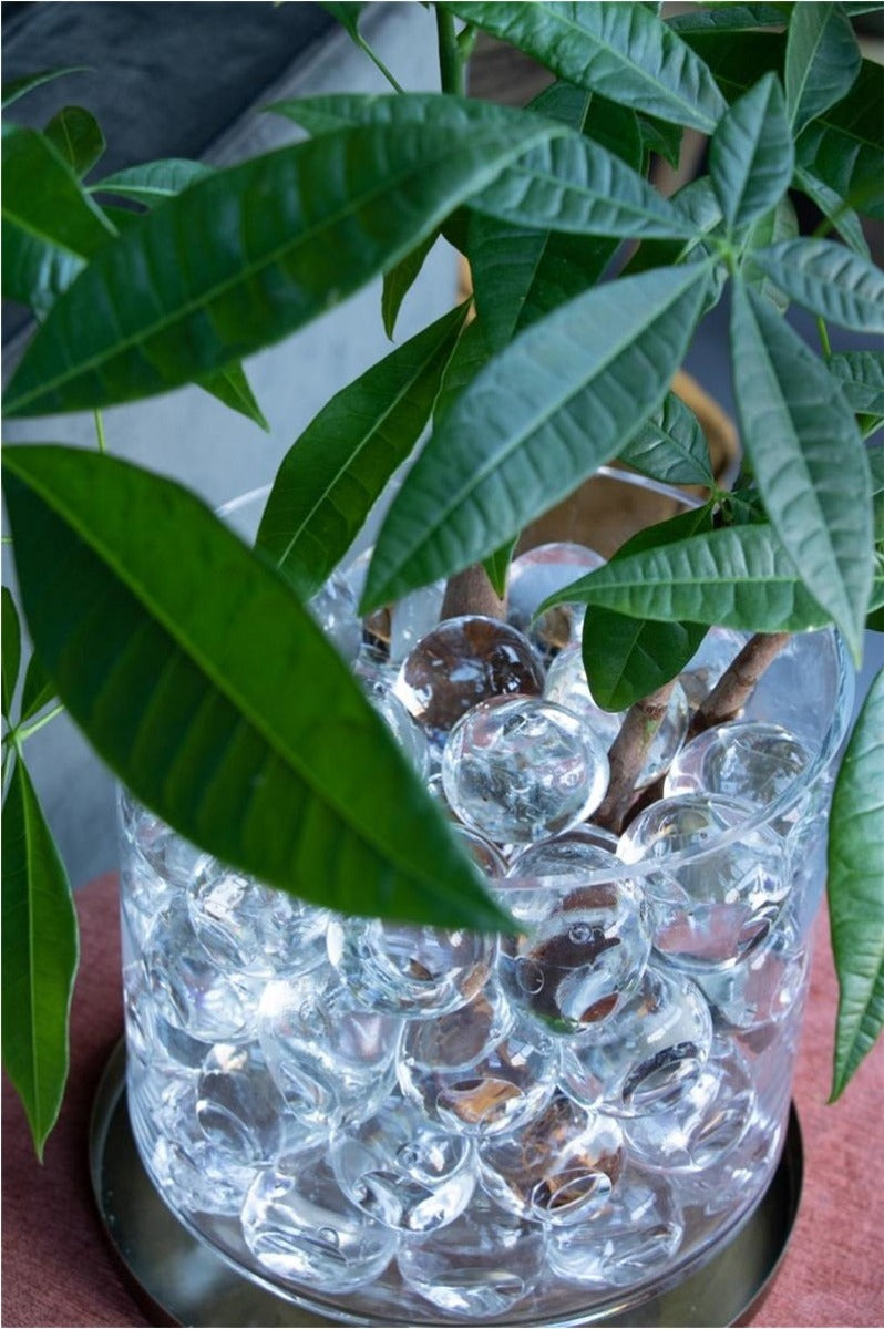 Grote waterballen 20 stuks dia 40-50 mm (1 doos) [IFS-10325]