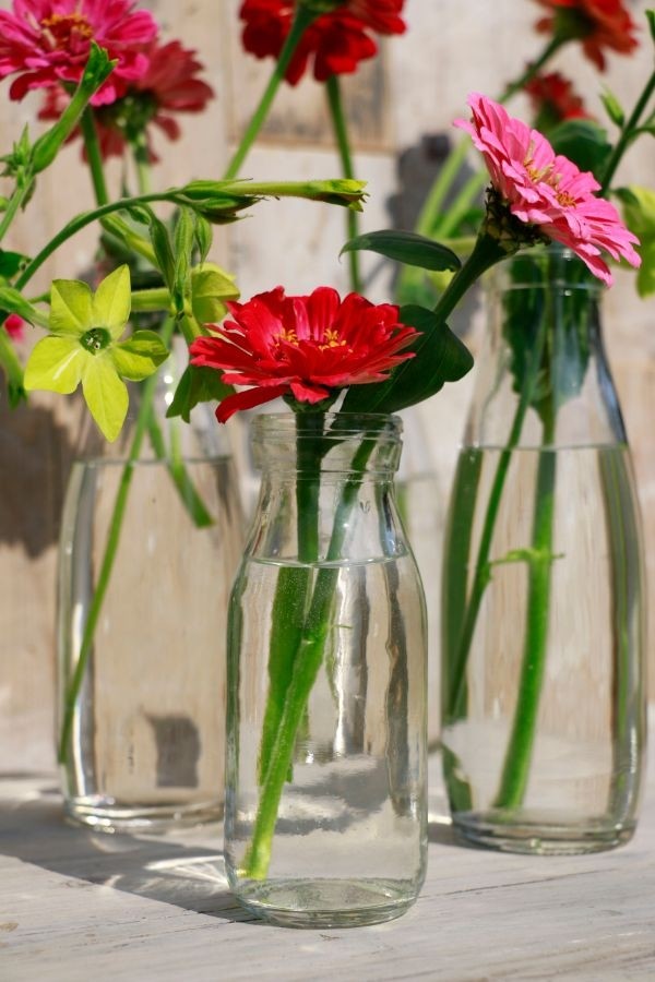 Glazen Melkfles 250ml 14cm hoog Ø 6cm (tray met 24 stuks) [IFS-129191]