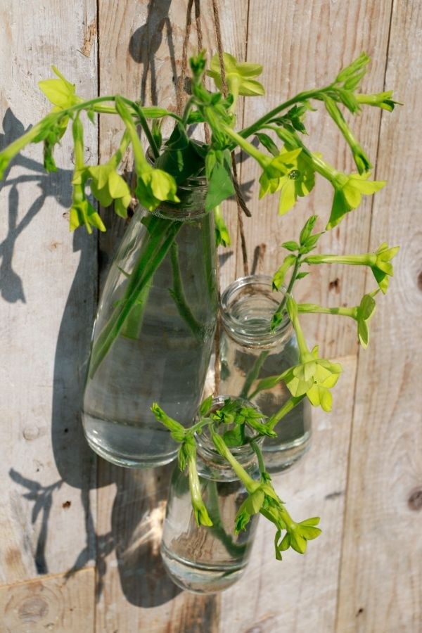 Glazen Melkfles 250ml 14cm hoog Ø 6cm (tray met 24 stuks) [IFS-129191]