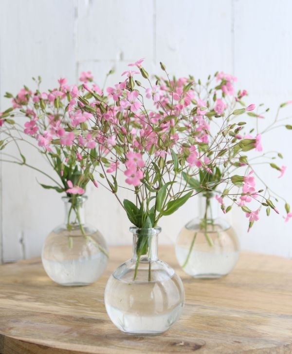 Glazen buikfles 10cm hoog Ø 8cm (tray met 24 st) [IFS-129193]