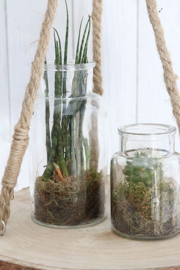 Glazen Medicijnvaas 16cm hoog Ø 8cm (tray met 12 stuks) [IFS-129195]