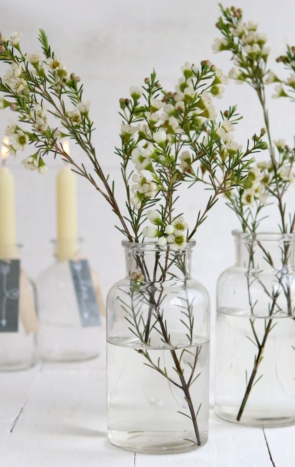 Glazen Medicijnvaas 16cm hoog Ø 8cm (tray met 12 stuks) [IFS-129195]