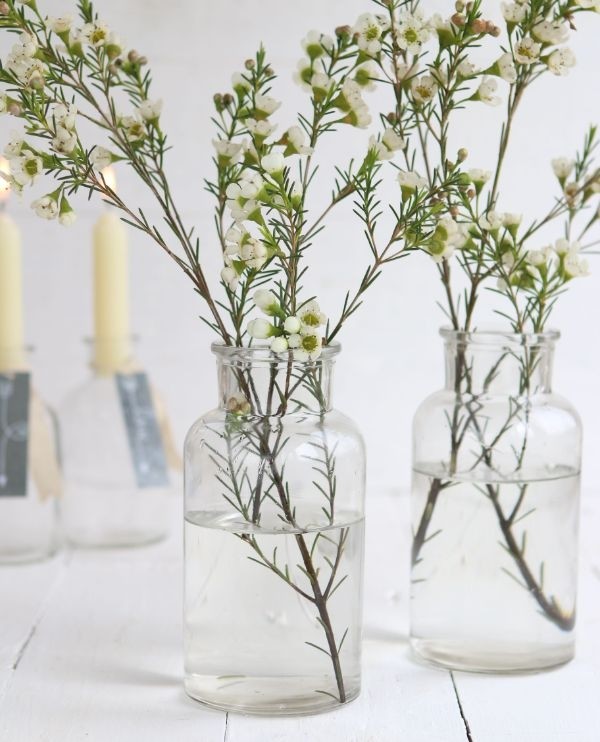 Glazen Medicijnvaas 16cm hoog Ø 8cm (tray met 12 stuks) [IFS-129195]