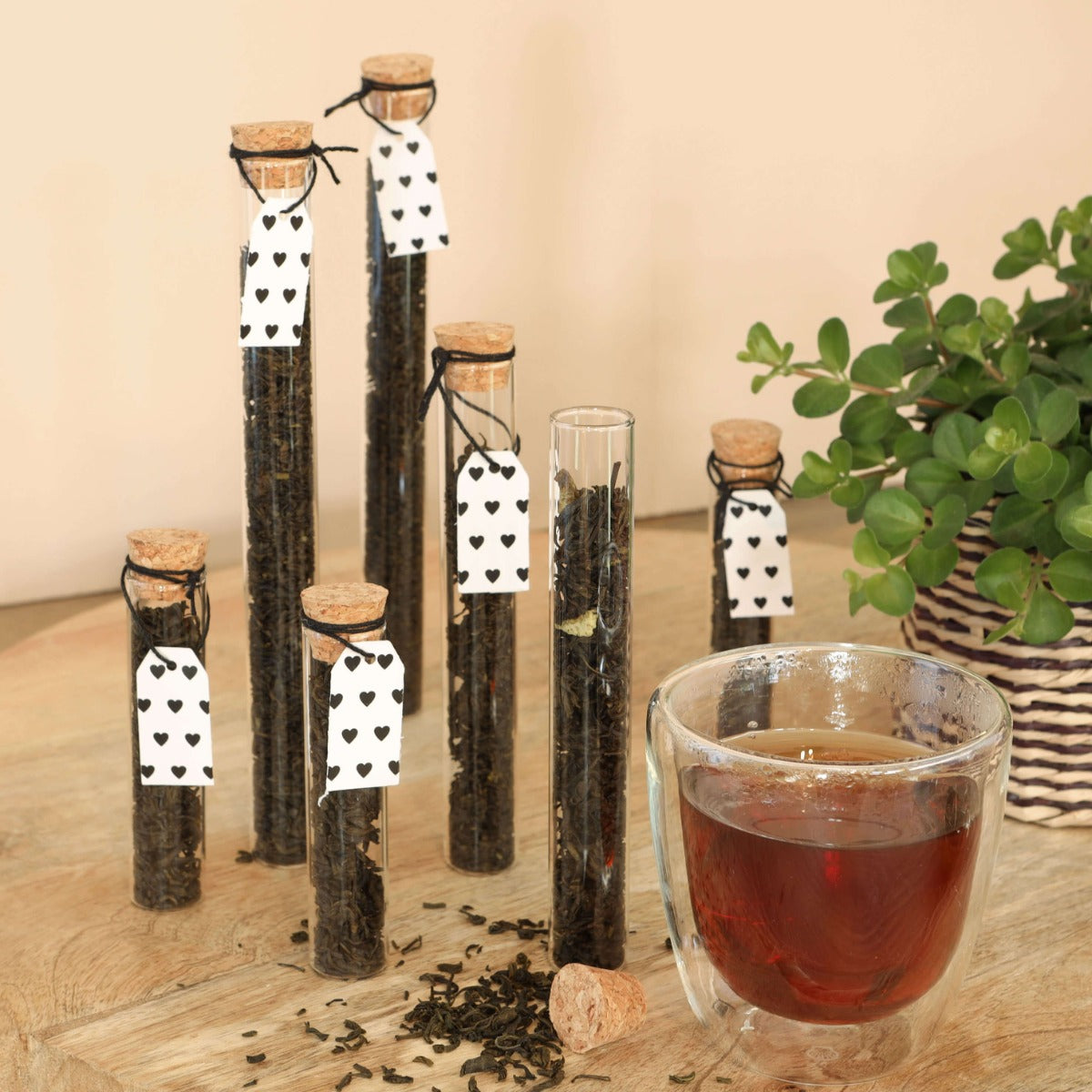 Glazen buis Ø2cm en 19cm hoog (12 st.) [IFS-29108]