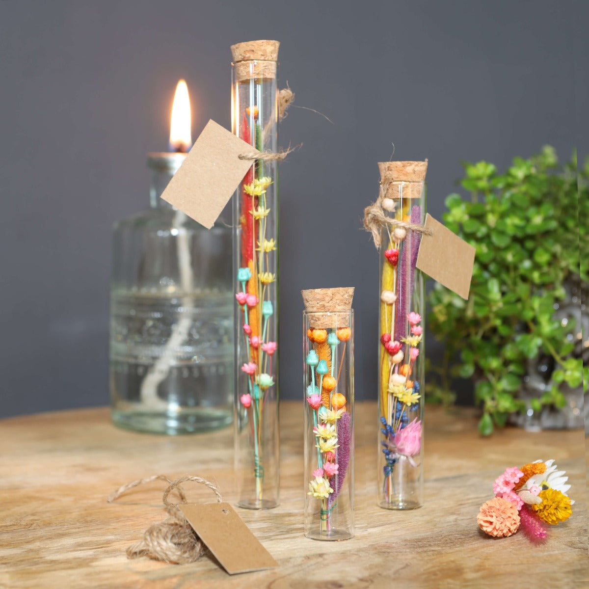 Glazen buis Ø2cm en 19cm hoog (12 st.) [IFS-29108]