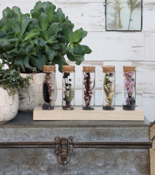 Glazen buisjes Ø3cm 5 buisjes op houten plankje (6 sets) [IFS-29147]