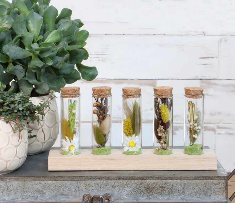 Glazen buisjes Ø3cm 5 buisjes op houten plankje (6 sets) [IFS-29147]