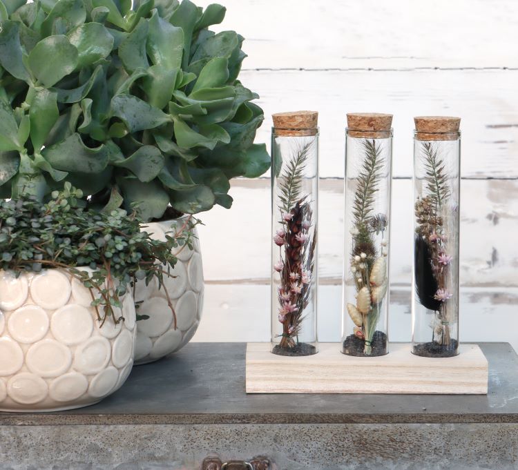 Glazen buisjes Ø3cm 3 buisjes op houten plankje (12 st.) [IFS-29148]