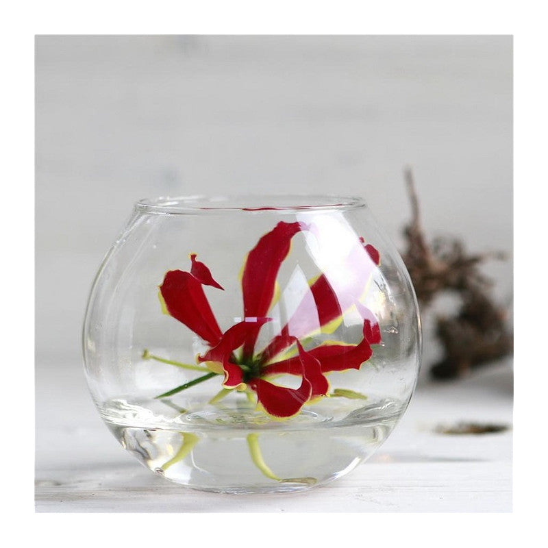 Glazen bolvormige pot Ø10 h.8cm (6 stuks) [IFS-29182]