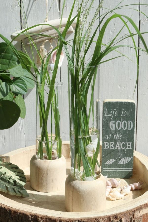 Houten basisvoet met reageerbuis Ø 5 cm en 18 cm hoog (1 stuks) [IFS-29218]