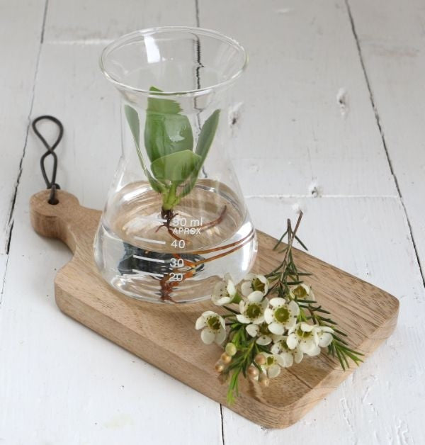 Laboratoriumglastrechter Ø 8cm en 11cm hoog (1 pc) [IFS-29256]