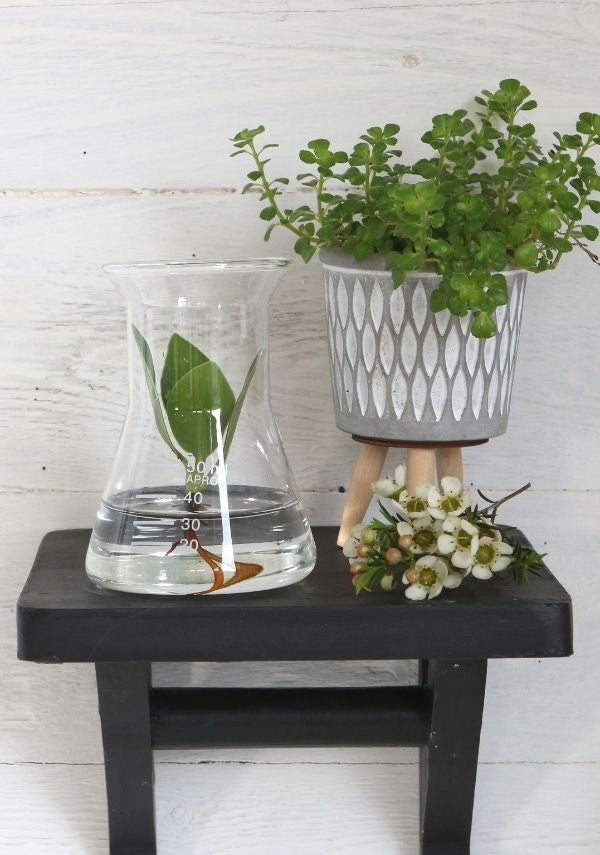 Laboratoriumglastrechter Ø 8cm en 11cm hoog (1 pc) [IFS-29256]