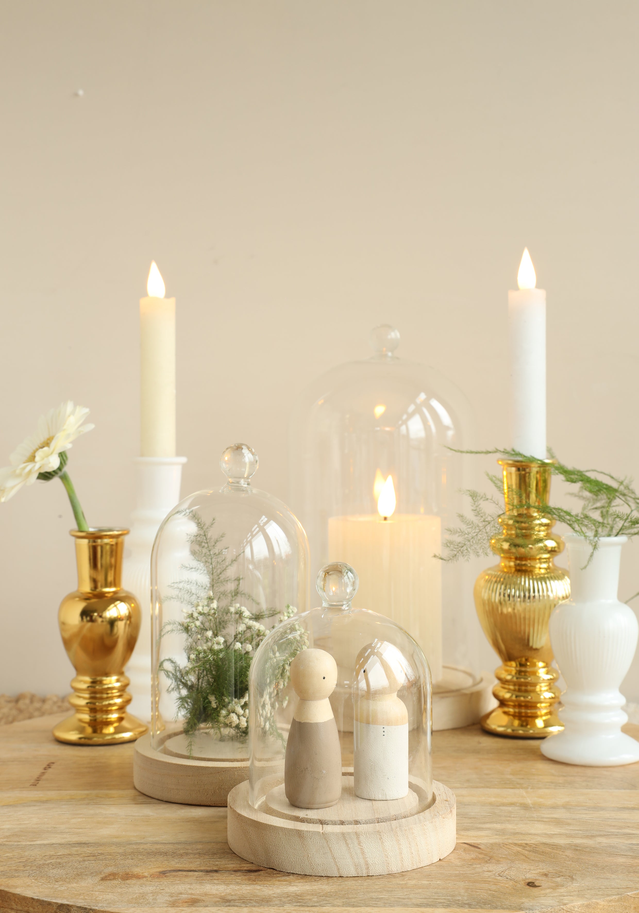 Glazen stolp met glazen knop met houten basis Ø14 h.23,5 cm (1 st) [IFS-29314]