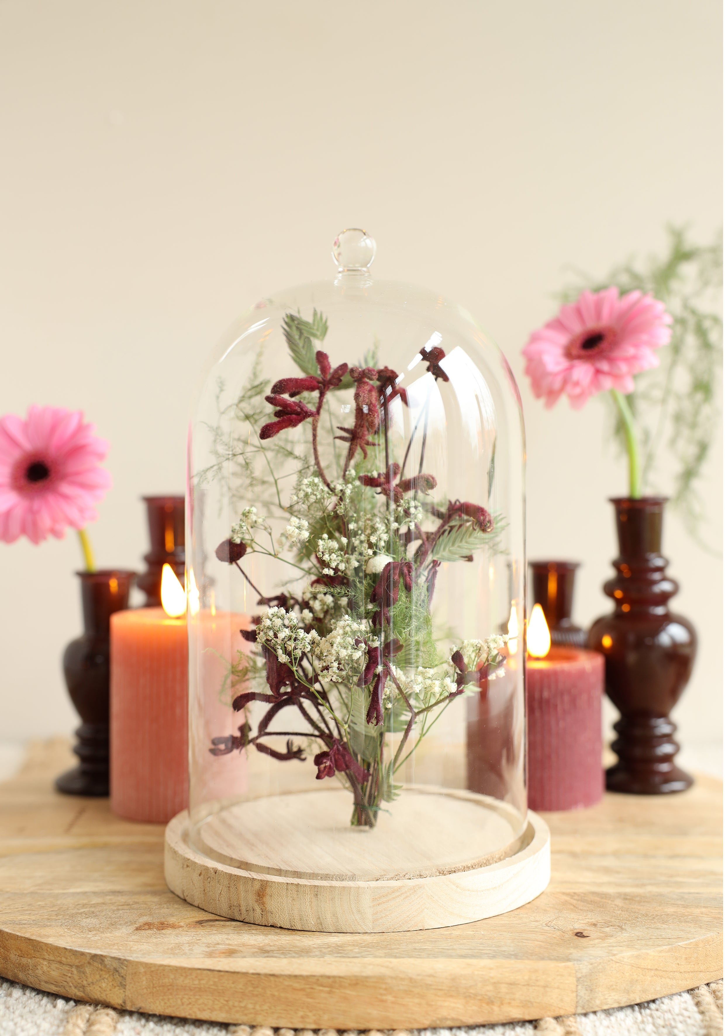 Glazen stolp met glazen knop met houten basis Ø17 h.28 cm (1 st) [IFS-29315]