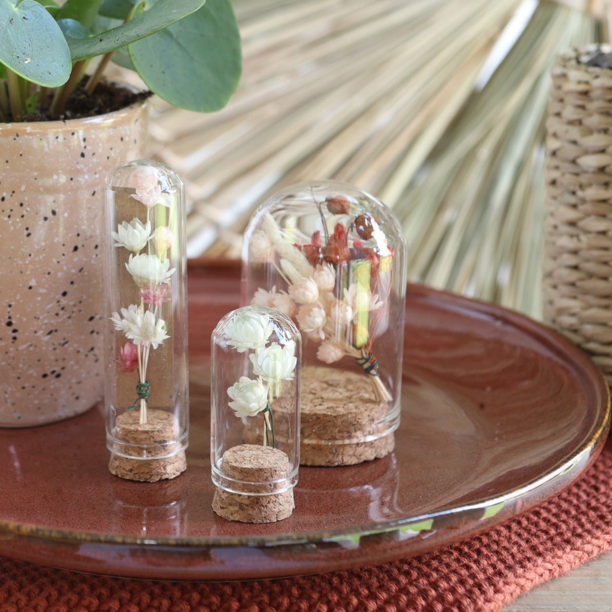 Glazen mini stolp Ø2cm en 7cm hoog met kurk (12 st.) [IFS-29409]