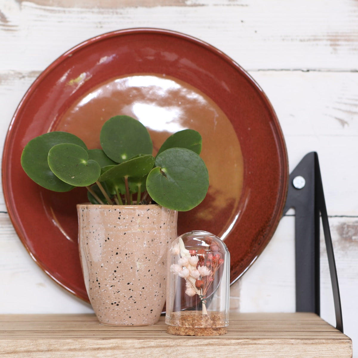 Glazen mini stolp Ø4cm en 6cm hoog met kurk (6 st.) [IFS-29410]