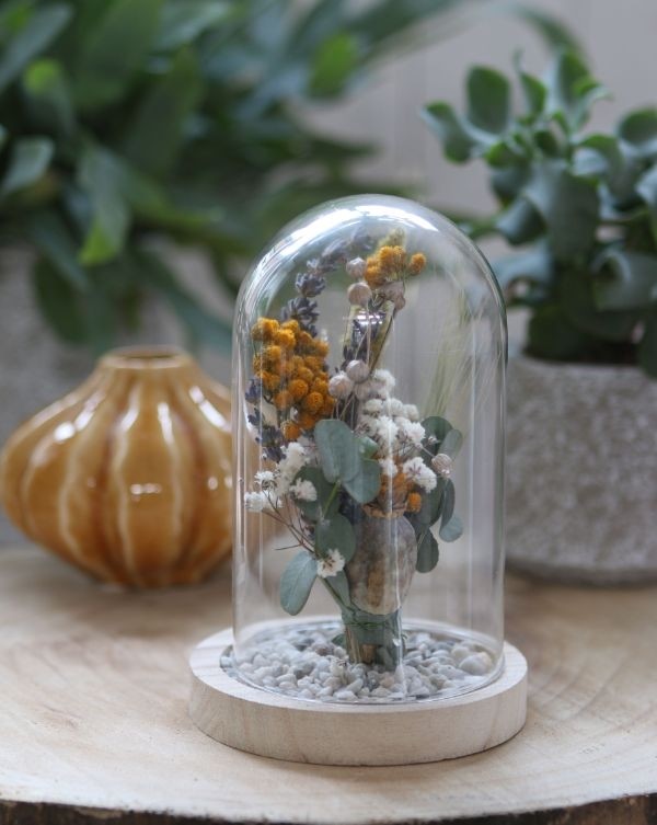 Glazen koepel met houten basisvoet Ø 12 cm en 16 cm hoog (1 st) [IFS-29423]