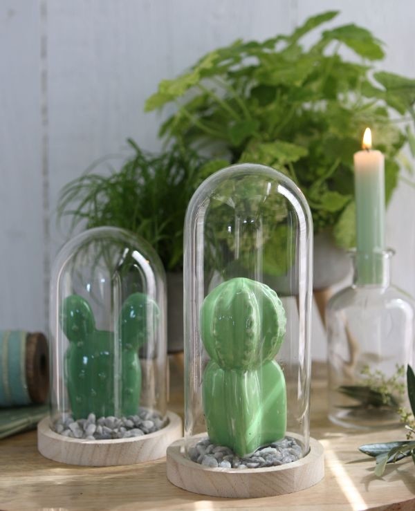 Glazen koepel met houten basisvoet Ø 10 cm en 20 cm hoog (1 st) [IFS-29429]