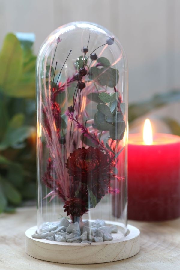 Glazen koepel met houten basisvoet Ø 10 cm en 20 cm hoog (1 st) [IFS-29429]