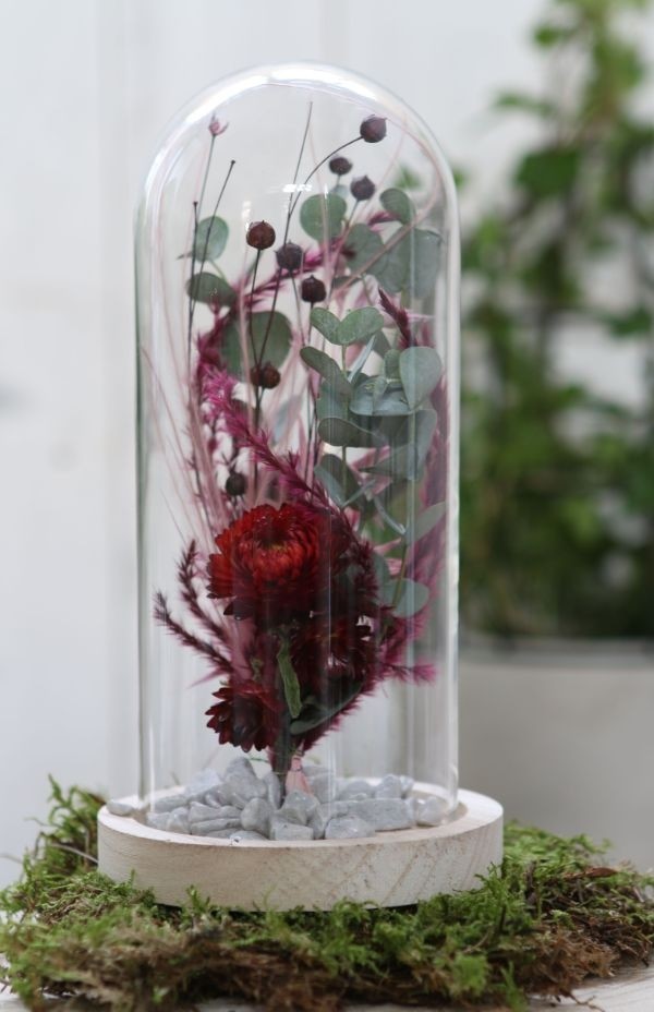 Glazen koepel met houten basisvoet Ø 10 cm en 20 cm hoog (1 st) [IFS-29429]