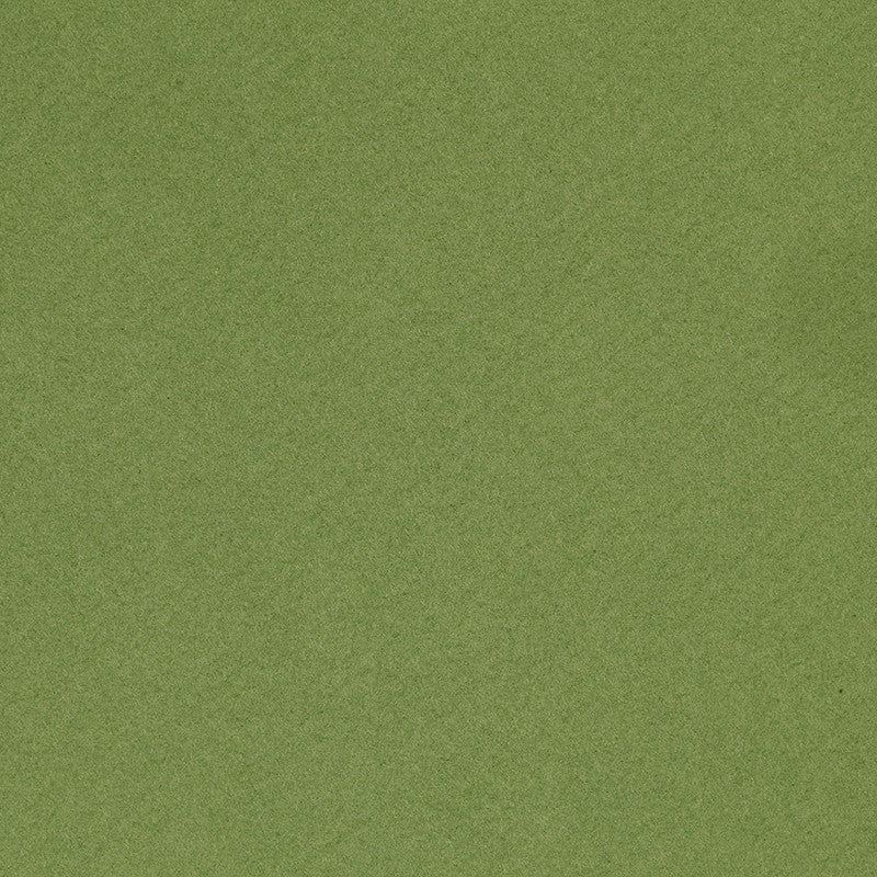 Frans karton, A4, vel 210x297 mm, 160 gr, apple Green, 1 vel [HOB-294475]