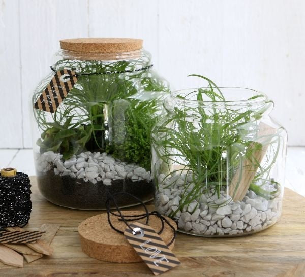 Glazen pot met kurk Ø 15 cm en 14 cm hoog (1 st) [IFS-29451]