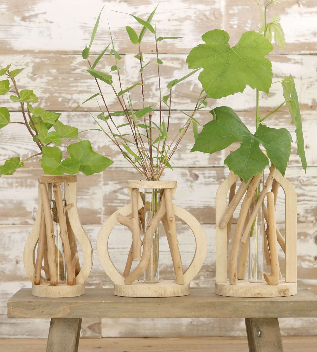 Reageerbuisje met standaard van drijfhout middel (1 st.) [IFS-29647]