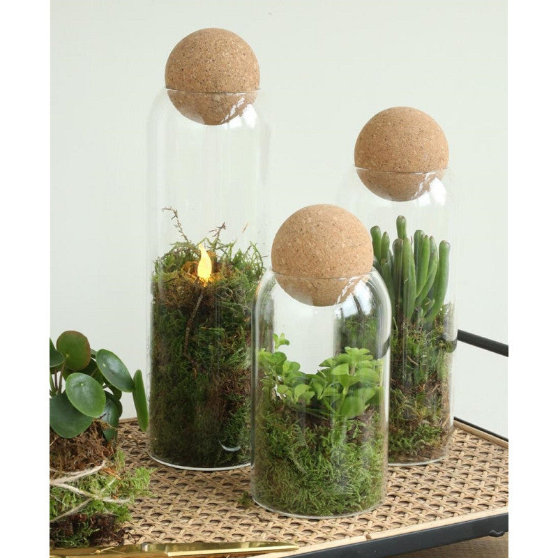 Glazen terrarium Sienna Ø8,5 h.24 cm (6 stuks) [IFS-29715]