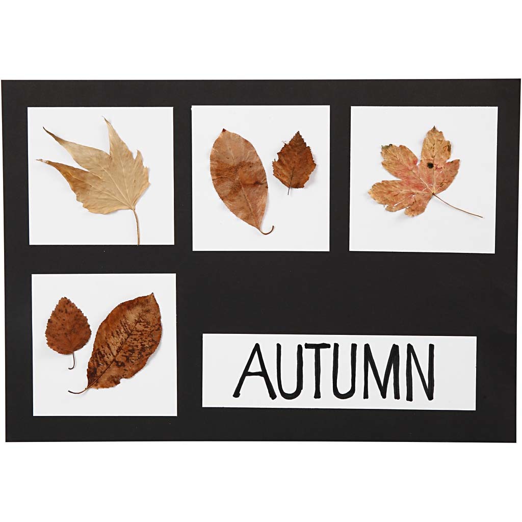 Karton, A2,A3,A4, 200+250 gr, zwart, wit, 600 div vellen/ 1 doos [HOB-21656]