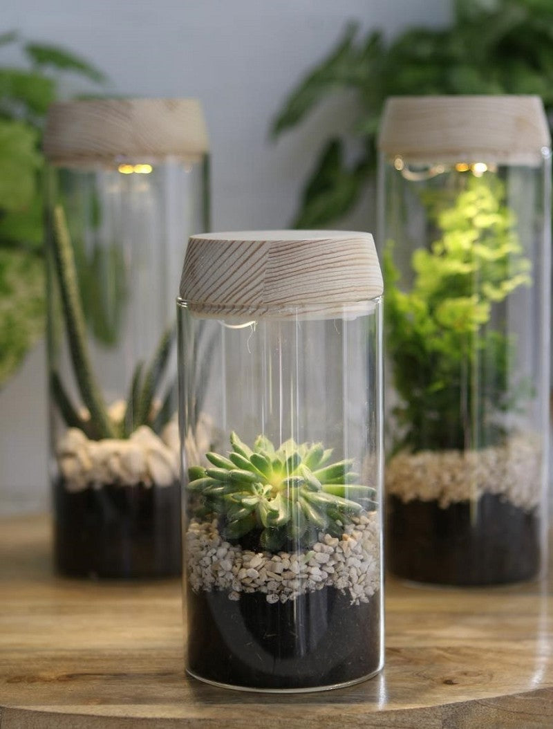 Reageerbuisje Ø8 h: 18 cm met licht + zonnepaneel kurk (1 stuk) [IFS-30173]