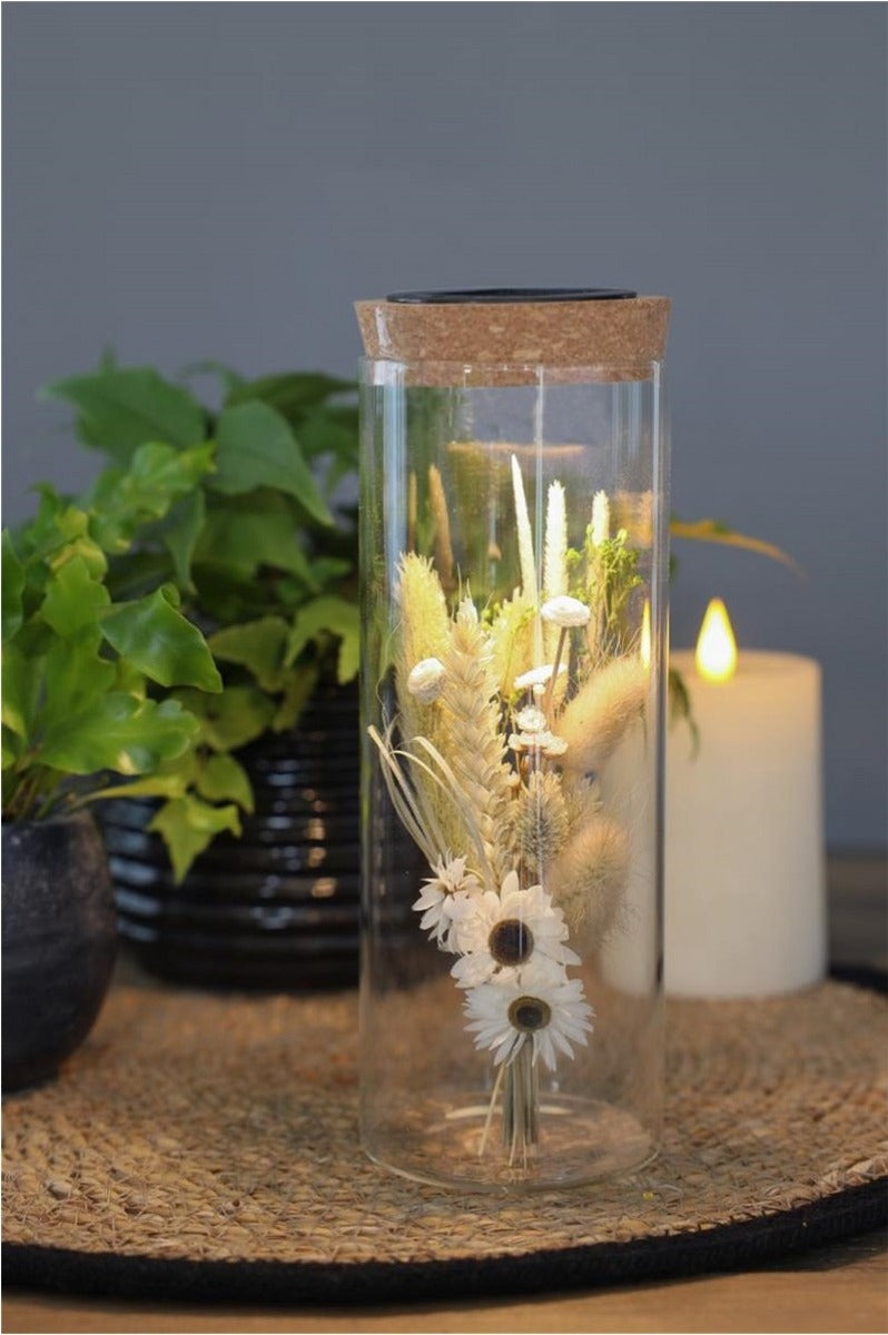 Reageerbuisje Ø8 h: 23 cm met licht + zonnepaneel kurk (1 stuk) [IFS-30174]