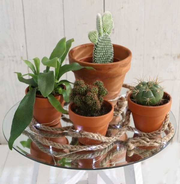 Spiegelplaat rond Ø 30cm afgeschuinde rand (1 pc) [IFS-30201]