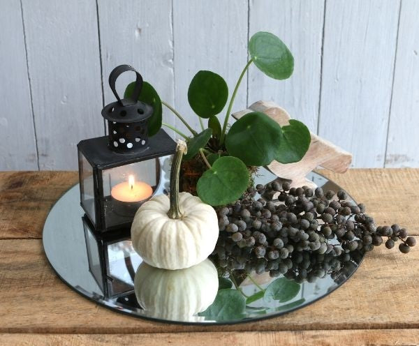 Spiegelplaat rond Ø 30cm afgeschuinde rand (1 pc) [IFS-30201]