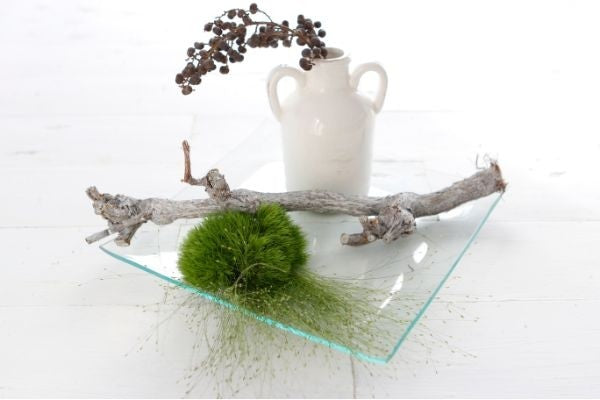 Glazen plaat Vierkant 25x25x2cm dik (1 pc) [IFS-30264]