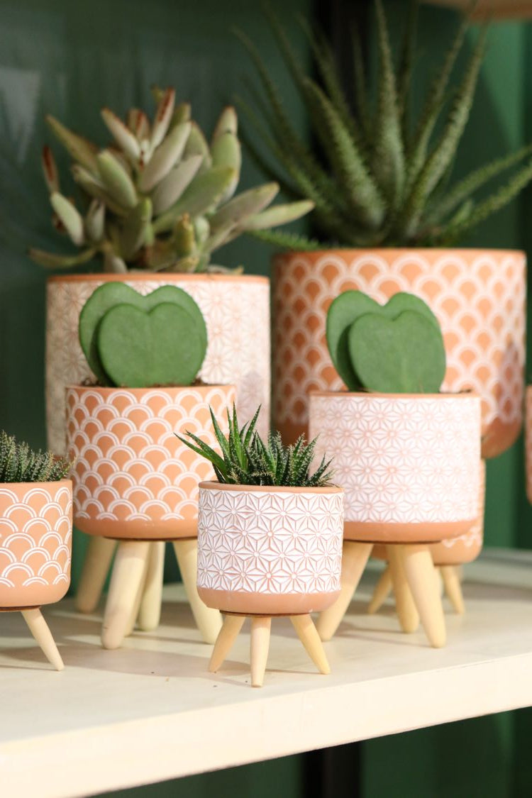 Plantenpot Terra cement met houten poten 11cm hoog (6 st.) [IFS-33002]