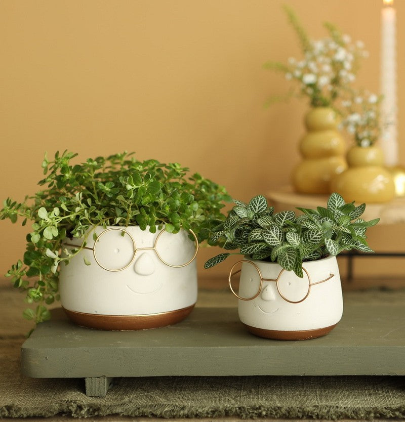 Pot met Brill goud Ø8,5 h: 6,5 cm (6 stuks) [IFS-33096]