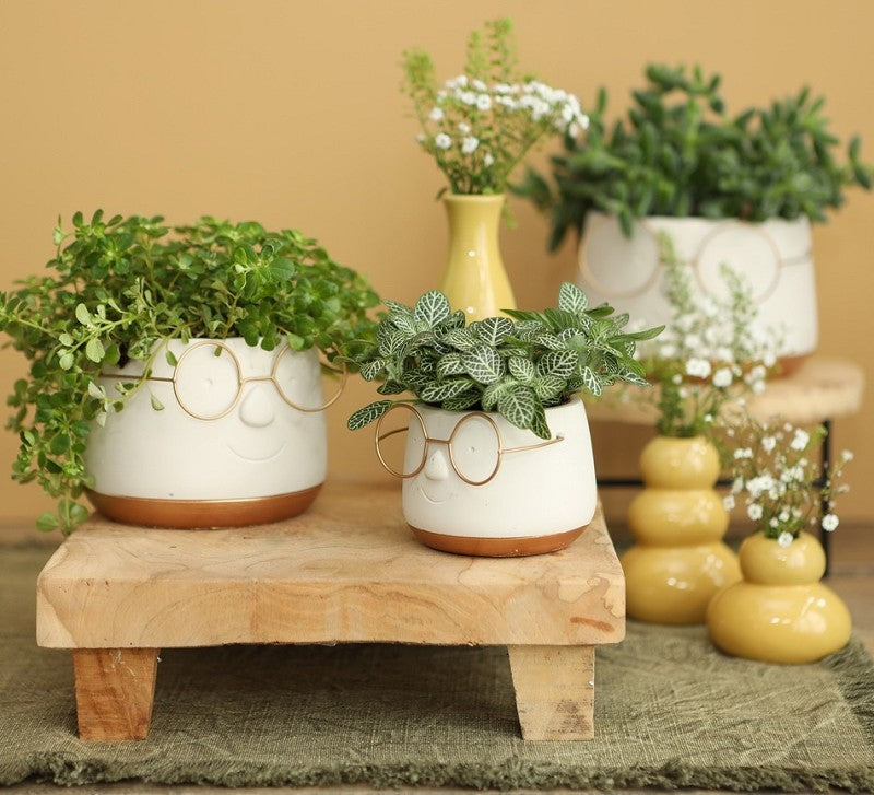 Pot met Brill goud Ø12 h: 9 cm (6 stuks) [IFS-33097]