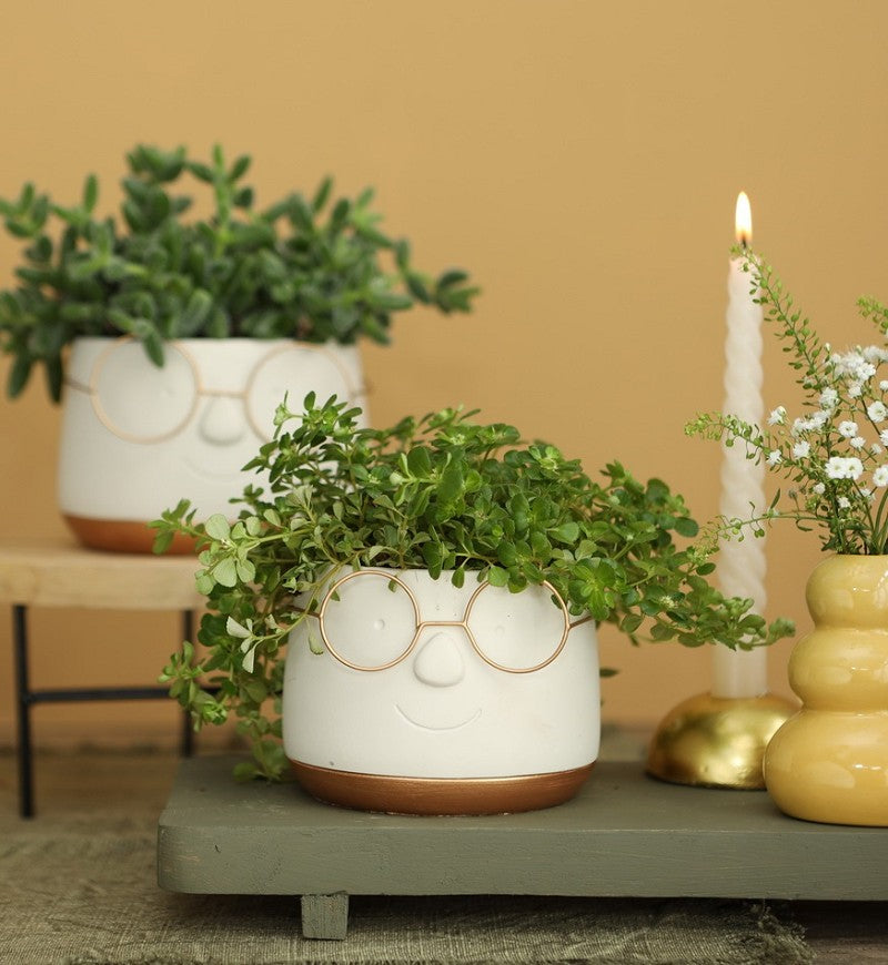 Pot met Brill goud Ø12 h: 9 cm (6 stuks) [IFS-33097]