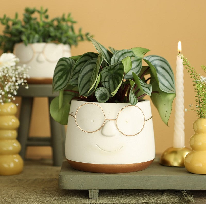 Pot met Brill goud Ø13,5 h: 10,5 cm (6 stuks) [IFS-33098]