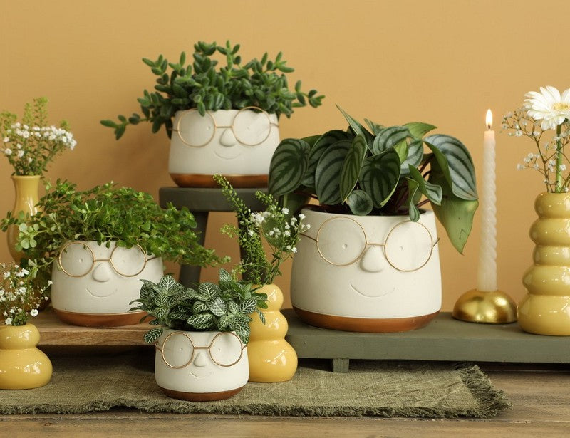 Pot met Brill goud Ø13,5 h: 10,5 cm (6 stuks) [IFS-33098]