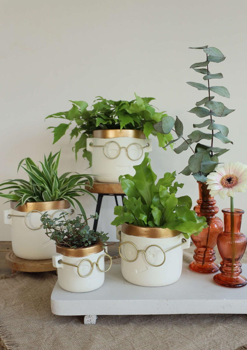 Plantenpot met Bril Goud 2 ass. Ø14 h:13,5 cm (6 stuks) [IFS-33185]