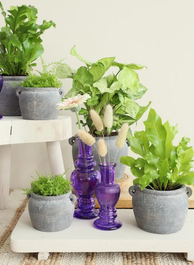 Amphora pot 14x12,2x9 cm (6 stuks) [IFS-33243]