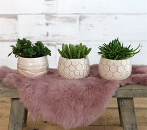 Plantenpot Mila craquele glazuur Creme 7cm hoog (9 st.) [IFS-33507]