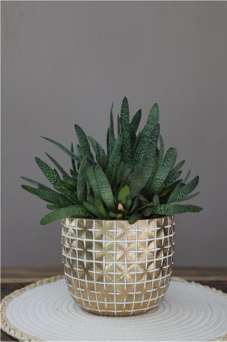 Hanoi pot Ø17,6 x h:14,4 cm Goud (3 stuks) [IFS-33855]