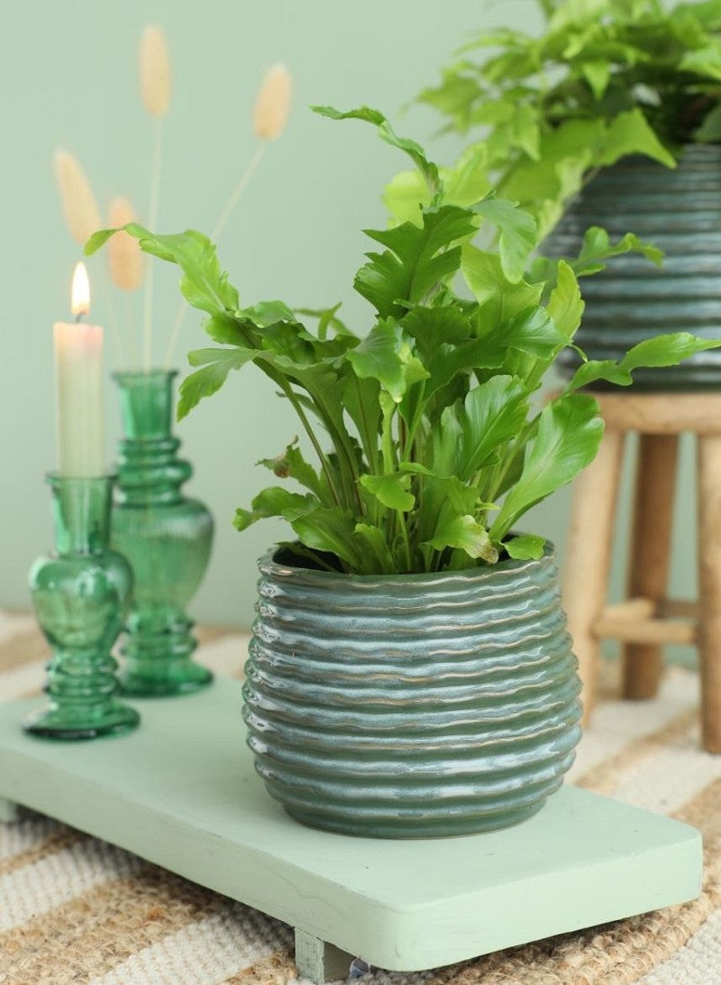 Pot Donker Groen Rise Ø8,5 x h: 11,5 cm (9 stuks) [IFS-33953]