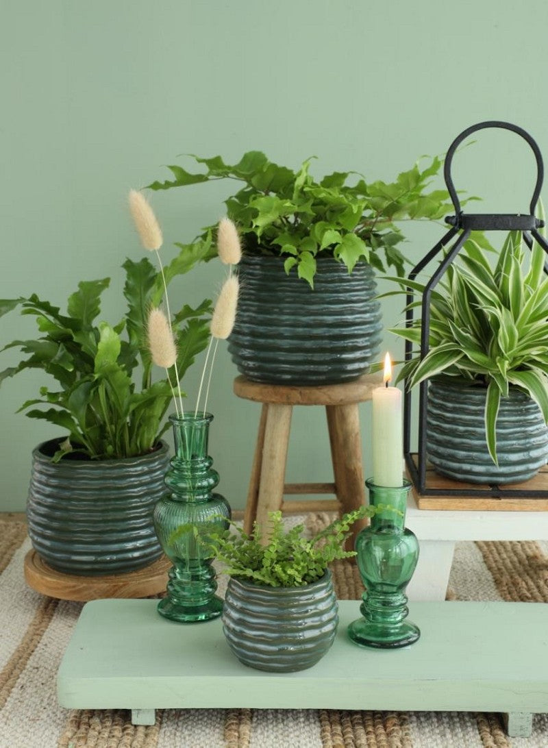 Pot Donker Groen Rise Ø6,5 x h: 8 cm (12 stuks) [IFS-33952]