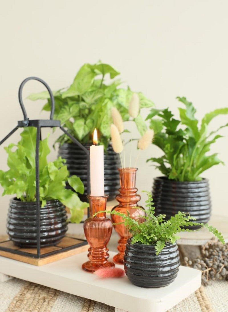 Pot Black Antraciet Rise Ø8,5 x h: 11,5 cm (9 stuks) [IFS-33973]