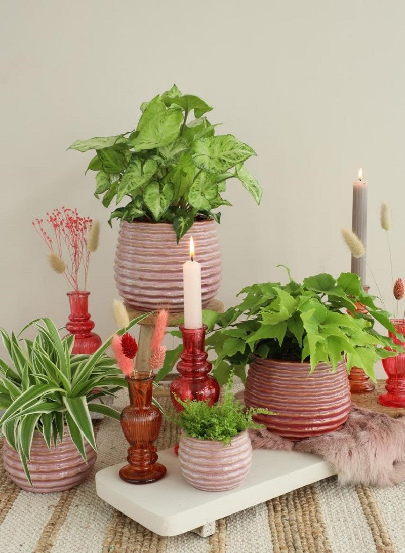 Pot Pink Carmine Rise Ø10 x h: 13,5 cm (6 stuks) [IFS-33984]